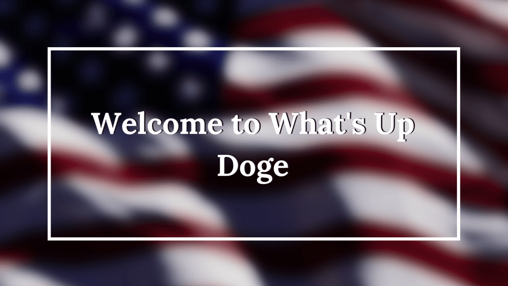 Welcome to What’s Up&nbsp;Doge