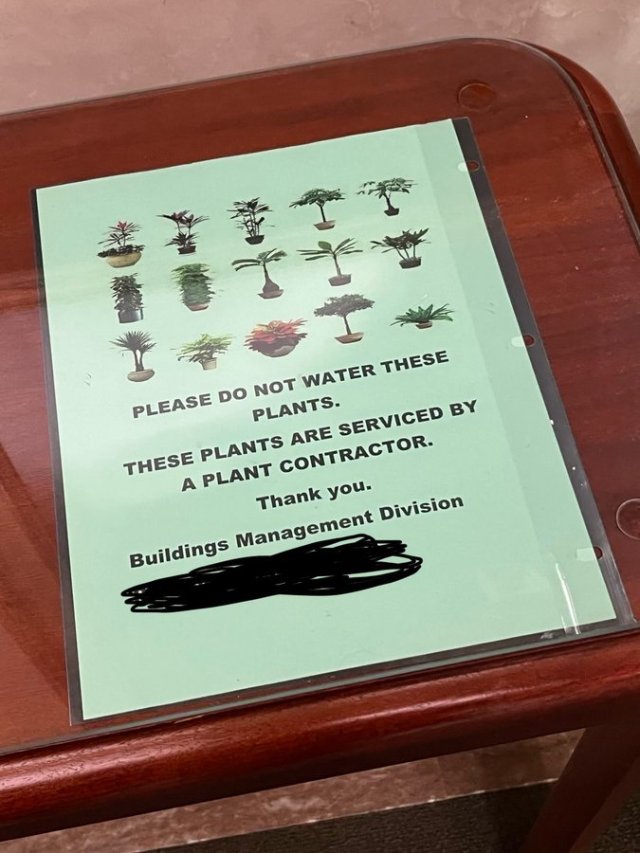 plant watering contract