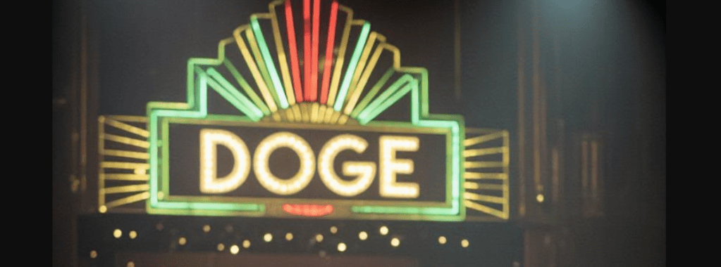 Department of Government Efficiency (DOGE) Summary&nbsp;2025